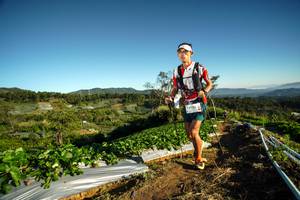 BIB: 9730
                            <button type="button" onclick="openModal(19114123)" class="btn btn-primary btn-sm float-right btn-popup" data-toggle="modal" data-target=".modal-high-quality">
                        <i class="fas fa-shopping-cart"></i> Add to Cart
                    </button>
                                            <button type="button" onclick="isThisMe(19114123, true)" class="btn btn-success btn-sm float-right btn-popup btn-isme hidden" data-toggle="tooltip" data-placement="bottom" title="นี่คือรูปของคุณใช่ไหม คลิกที่นี่เพื่อเอาเข้าอัลบั้ม">
                        <i class="fas fa-plus"></i> Add to album
                    </button>
                    <button type="button" onclick="isThisMe(19114123, false)" class="btn btn-warning btn-sm float-right btn-popup btn-isnotme hidden">
                        <i class="fas fa-ban"></i> Remove from album
                    </button>